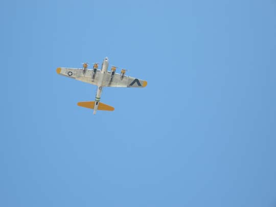 yellow tail B-17 ohead